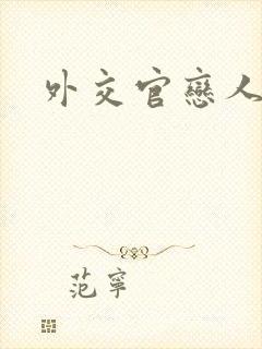 外交官恋人小说封面