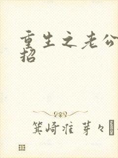 重生之老公请接招封面