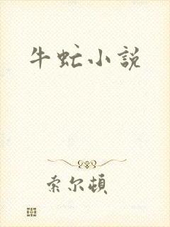 牛虻小说