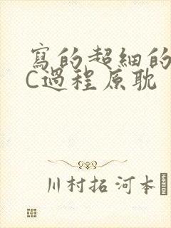 写的超细的多肉C过程原耽