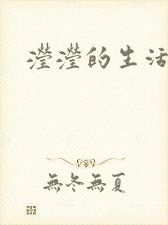 滢滢的生活日记封面
