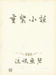重紫小说