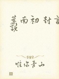 叶南初 封言小说