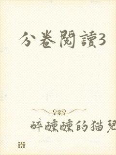 分卷阅读3