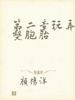 第二章玩弄少妇双胞胎