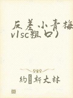 反差小青梅(1v1sc粗口)封面