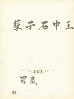 孽子石中玉