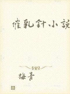 催乳针小说