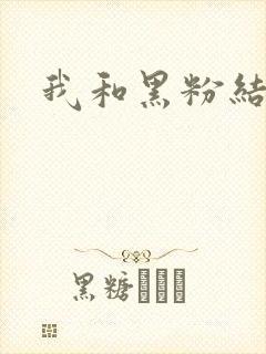 我和黑粉结婚了封面