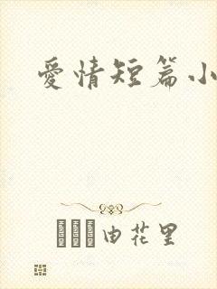 爱情短篇小说封面