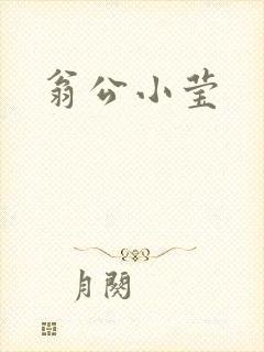 翁公小莹