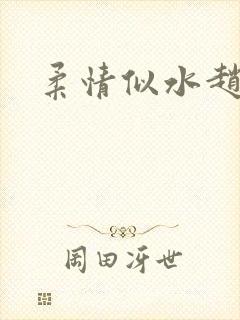 柔情似水赵雅儿