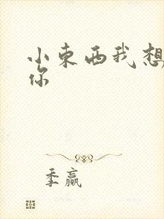 小东西我想弄坏你