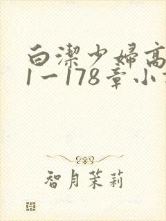 白洁少妇高义第1一178章小说