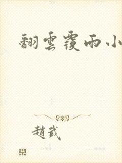 翻云覆雨小说封面