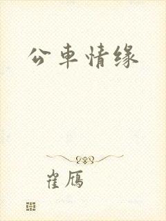 公车情缘