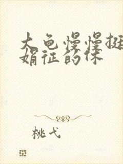 大龟慢慢挺进张娟征的休封面