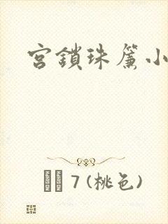 宫锁珠帘小说封面