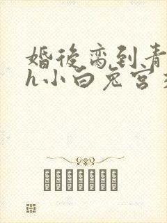 婚后脔到青梅哭h小白兔宫交h