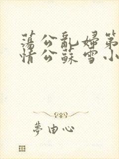 荡公乱妇第1章情公苏雪小说