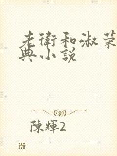 老卫和淑荣的经典小说