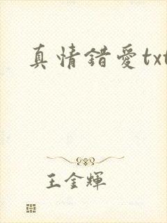 真情错爱txt