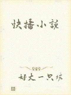 快播小说