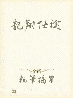 龙翔仕途封面