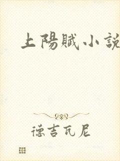 上阳赋小说封面