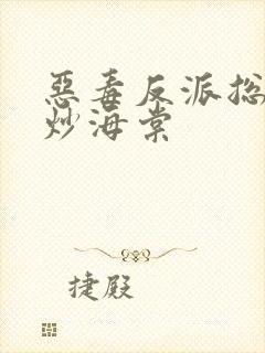 恶毒反派总被爆炒海棠封面