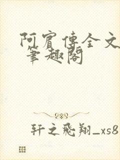 阿宾传全文阅读 笔趣阁封面