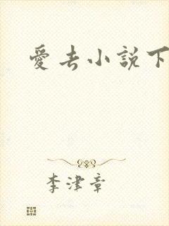 爱去小说下载网