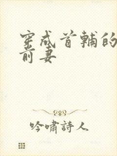 穿成首辅的炮灰前妻