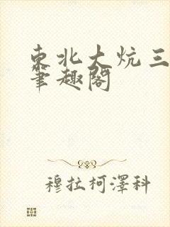 东北大炕三部曲笔趣阁