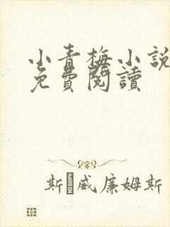 小青梅小说全文免费阅读
