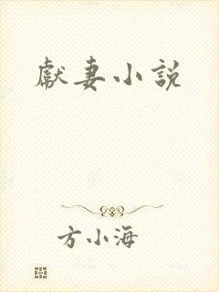 献妻小说