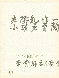 光阴乱作一团的小说免费阅读