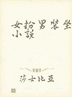 女扮男装坐江山小说