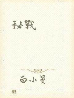 秘战