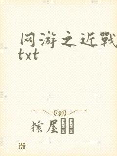 网游之近战法师txt