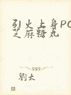 引火上身POP芝麻糖丸