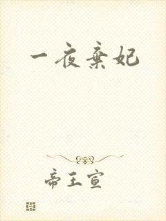 一夜弃妃