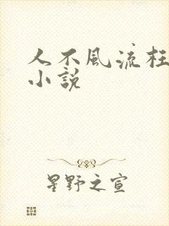 人不风流枉少年小说