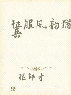 征服风韵犹存的岳封面