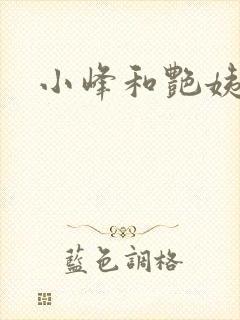 小峰和艳姨封面