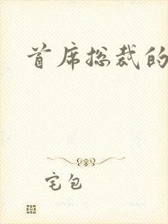 首席总裁的逃妻封面