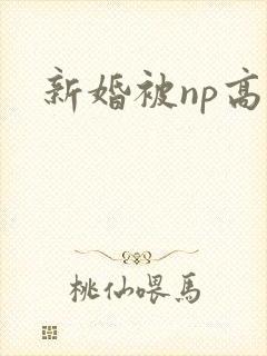 新婚被np高h封面
