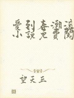 爱到春潮滚滚来小说免费阅读