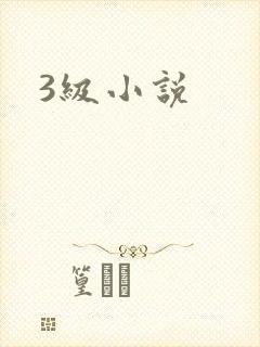 3级小说封面