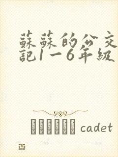 苏苏的公交车日记1一6年级